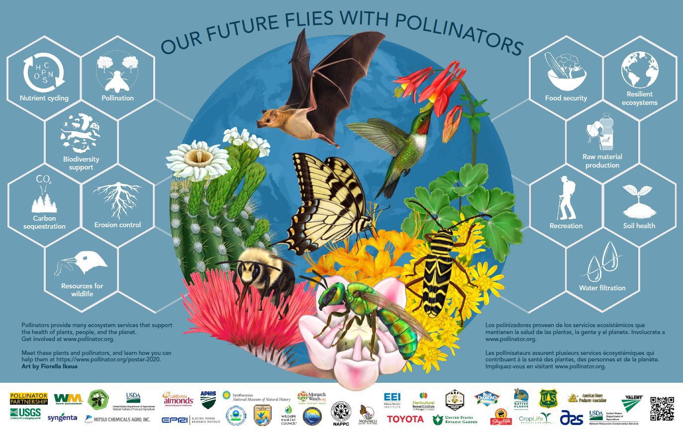 2020 Pollinator Poster Image Final